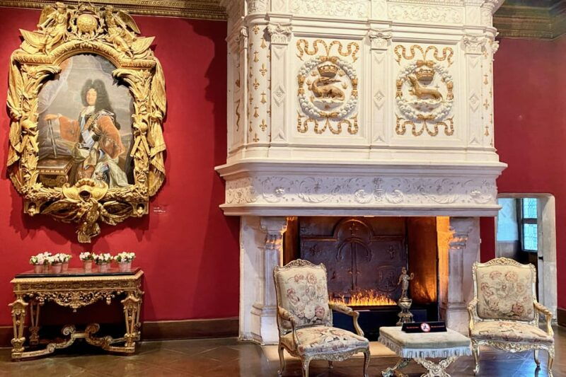 3-loire-castles-live-guided-small-group-by-minivan-winery