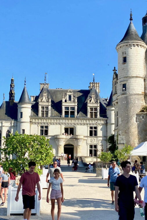 3-loire-castles-live-guided-small-group-by-minivan-winery