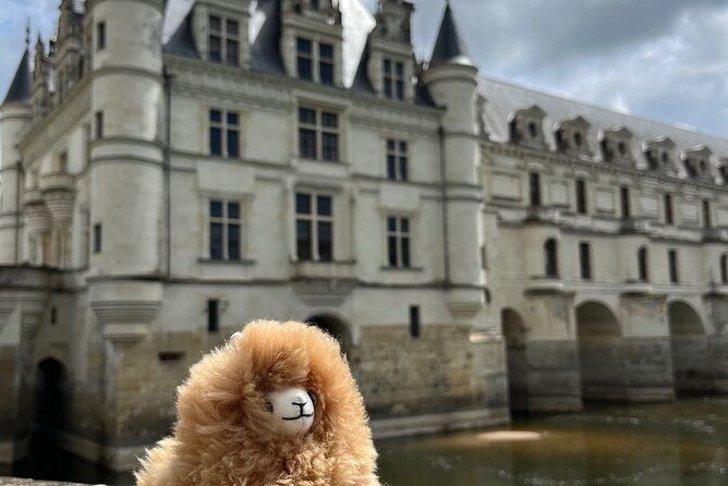 3-loire-valley-castles-and-wine-tasting-private-guided-tour