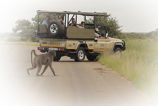 3 Night & 4 Day Private Kruger Park Safari - Key Points