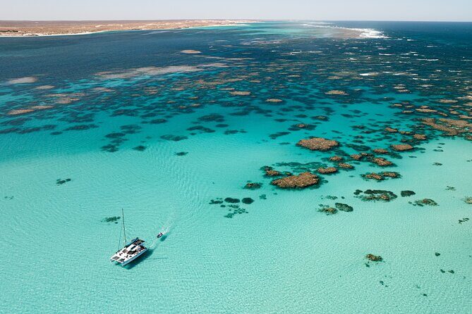 3 Night Ningaloo Reef Snorkel and Dive Getaway from Coral Bay - Key Points