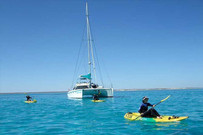 3 Night Ningaloo Reef Snorkel and Dive Getaway from Coral Bay - What Travelers Say