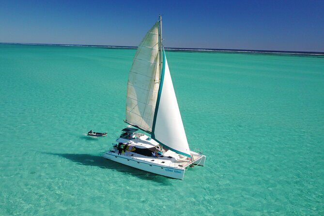 3 Night Ningaloo Reef Snorkel and Dive Getaway from Coral Bay - Authentic Experiences and Wildlife Encounters