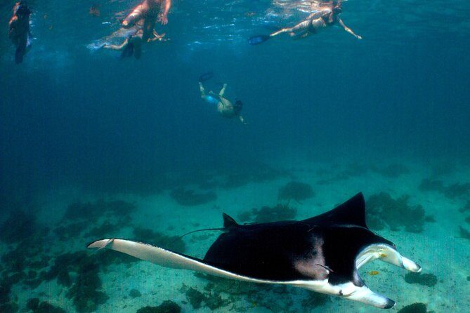 3 Night Ningaloo Reef Snorkel and Dive Getaway from Coral Bay - The Sum Up: Who Should Consider This Tour?