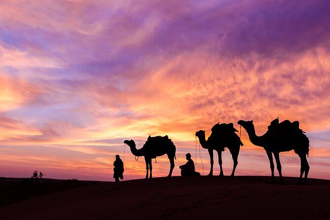 3-Night Private Jordan Joy Tour: Amman, Wadi Rum, Petra, Dead Sea - Final Thoughts: Who Should Book This Tour?