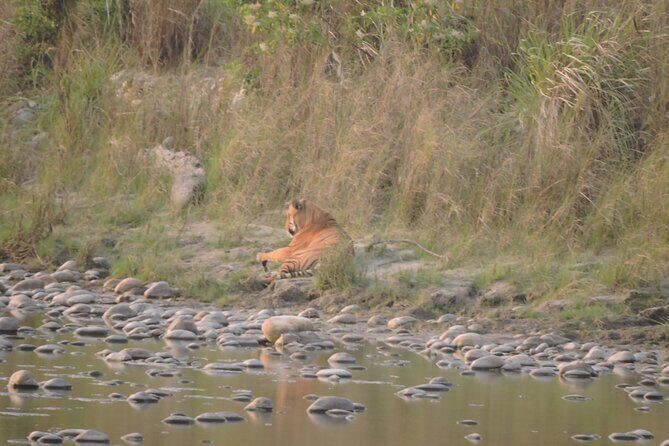 3 Nights 4 Days Bardia Tiger Tracking Tour | Bardia Jungle Safari - Who Should Consider This Tour?