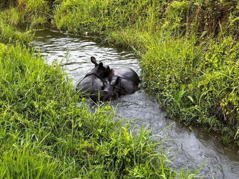 3-nights-4-days-chitwan-national-park-with-tower-night-stay-2
