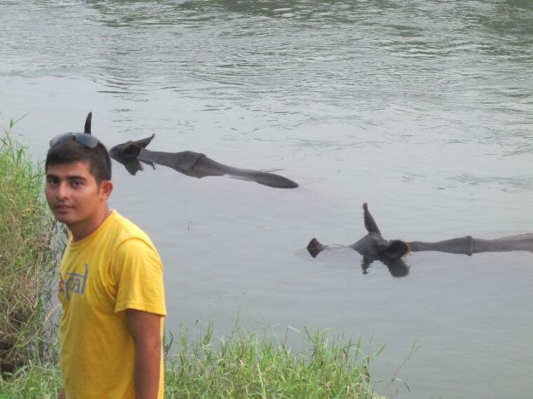3-nights-4-days-chitwan-national-park-with-tower-night-stay-2