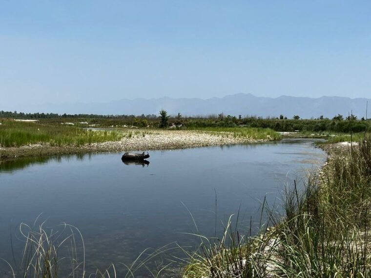 3-nights-4-days-chitwan-national-park-with-tower-night-stay-2