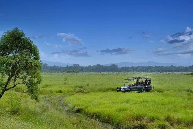 3 Nights 4 Days Chitwan National Park with Tower Night Stay - Transportation & Group Dynamics