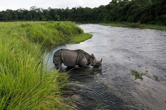 3 Nights 4 Days Chitwan National Park with Tower Night Stay - Pricing & Value