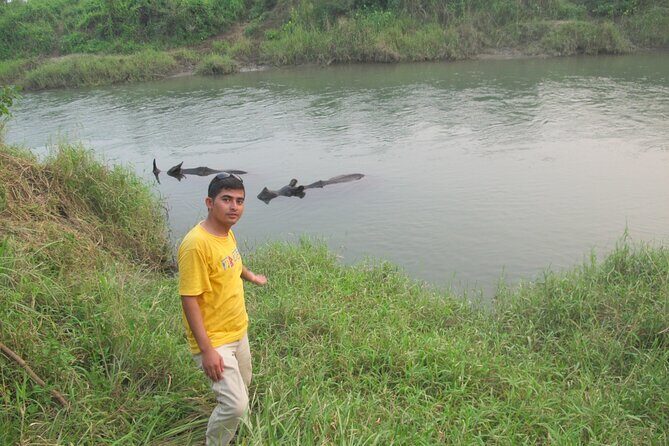 3 Nights 4 Days Chitwan National Park with Tower Night Stay - Who Should Consider This Tour?