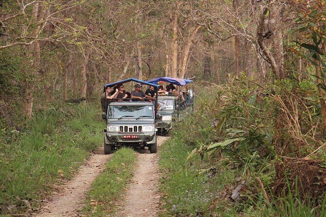 3 Nights 4 Days Chitwan National Park with Tower Night Stay - Final Thoughts