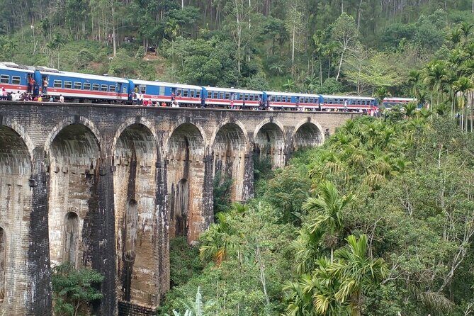 3 Nights 4 Days Private Sri Lanka Safari Tour with Star Hotel - A Closer Look at the Tour Experience