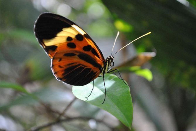 3-or-4-day-all-inclusive-napo-amazon-adventure-with-accommodation-in-eco-lodge