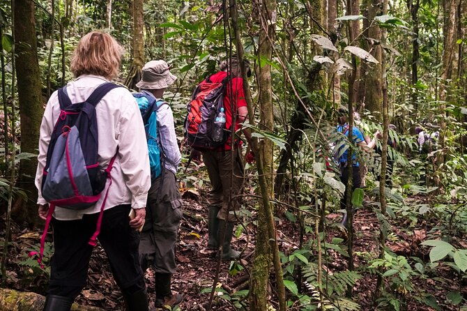 3-or-4-day-all-inclusive-napo-amazon-adventure-with-accommodation-in-eco-lodge