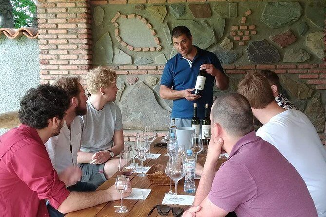 3 Organic Wineries Private Day Trip to Wine Province With Lunch and Tastings - A Deep Dive Into the Tour Itself