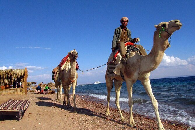 3 Pools National Park and Dahab With Ride Camel _ Sharm El Sheikh - Key Points
