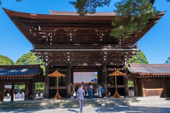 3 to 5 Hours Private Tour in Tokyo with Local Guide - Authentic Insights from Reviewers