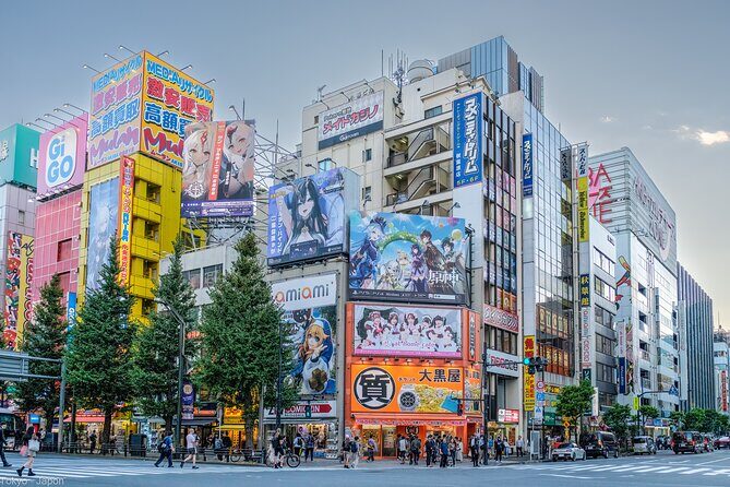 3 to 5 Hours Private Tour in Tokyo with Local Guide - The Sum Up: Who Will Love This Tour?