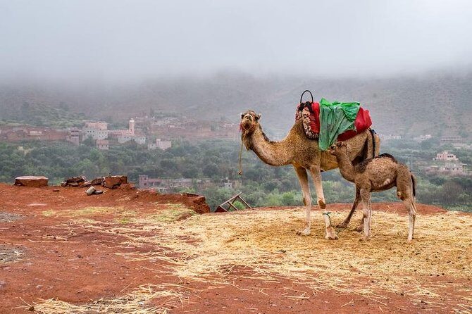 3 Valleys Atlas Mountains Berber Villages & agafy desert - Key Points