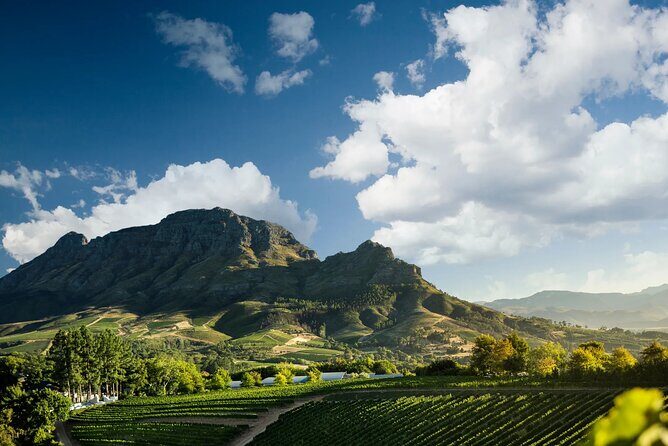 3 Wineries Private Tour in Stellenbosch, Paarl Tasting Included - A Close Look at the Itinerary