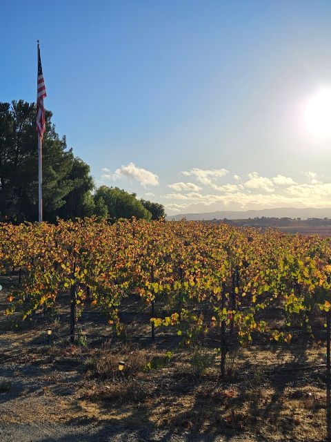 3-winery-tour-includes-tastings-and-lunch-from-santa-ynez