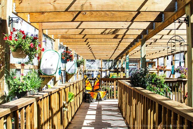 30-minute-airboat-ride-near-orlando