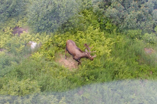 30-minute-flightseeing-tour-from-girdwood