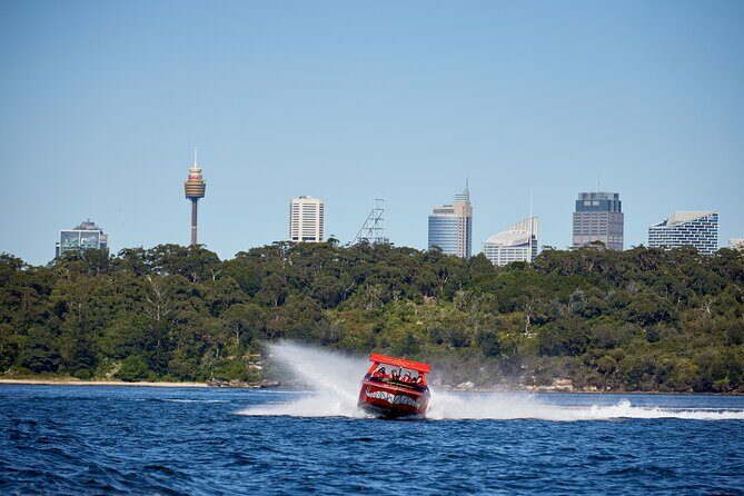 30-Minute Sydney Harbour Jet Boat Thrill Ride - Group Size, Duration, and Practical Details