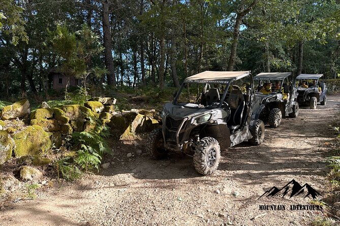 30-minutes-buggy-ride-2