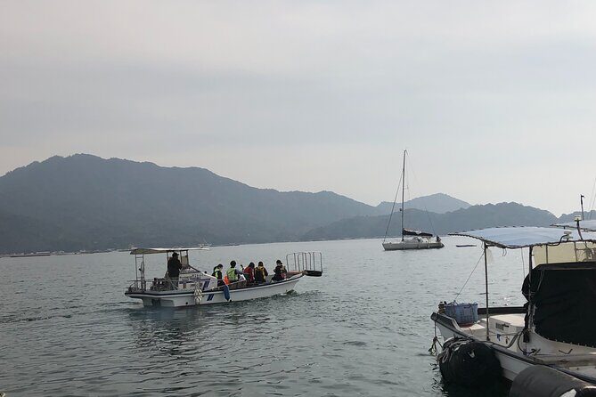 30 Minutes One Way Cruise from Miyahama Onsen to Miyajima - The Experience in Detail