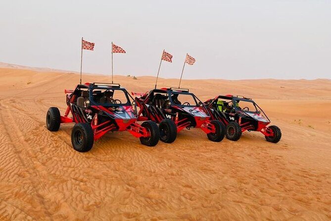 3000cc Dune Buggy & Sandboarding - Private Experience - Final Thoughts