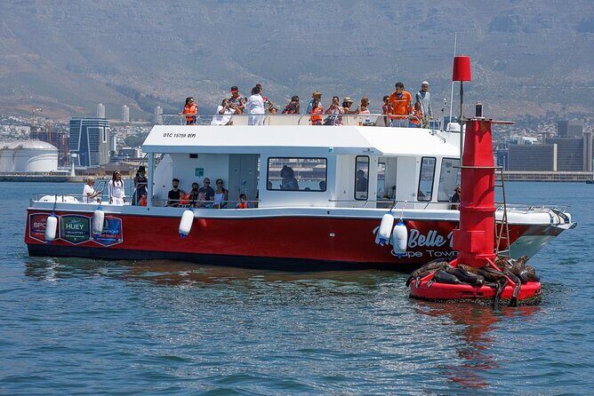 30min Harbour Boat Cruise Cape Town - An In-Depth Look at the Harbour Cruise Experience