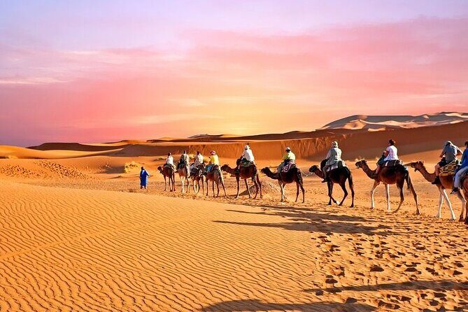 3D/2N Desert tour from Fez to Marrakesh (with small group) - Transportation and Group Size  