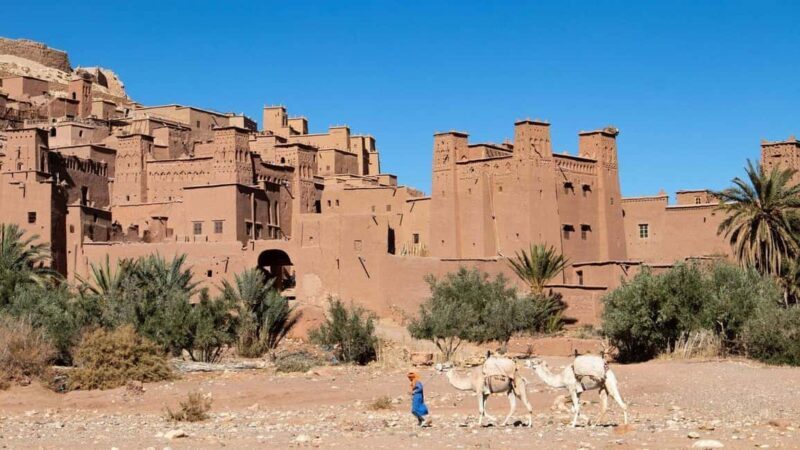3D/2N Private Desert Tours from Marrakech to Fez - Authenticity and Traveler Insights