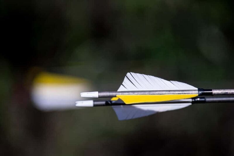 3D Archery Adventure - Plettenberg Bay - What is the 3D Archery Adventure?