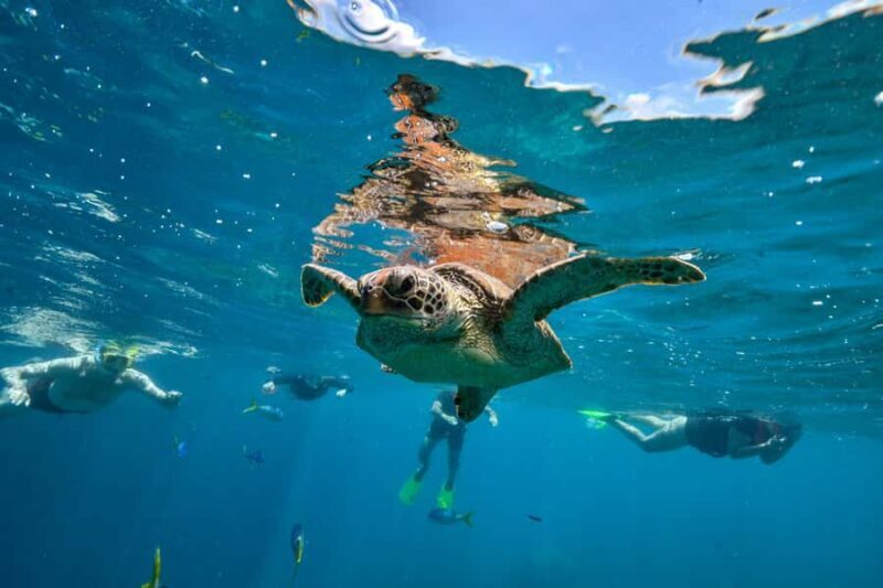 3D2N Island Hoping and The Art of Flores - 10 Destinations - Discovering Flores in 3 Days: What to Expect