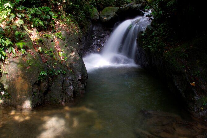 3D2N Jungle Trek | 2 Night accommodation | Pick up and drop off - The Sum Up