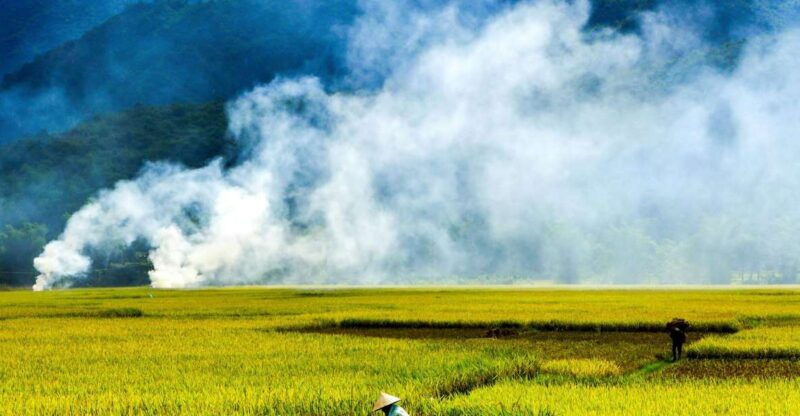 3d2n-mai-chau-pu-luong-for-nature-and-culture-lovers