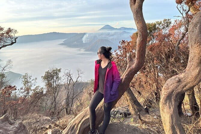 3D2N Mount Bromo Ijen Blue Fire with 4-Star Accommodation - Authentic Experiences from Review Insights
