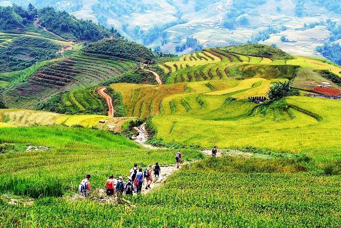 3D2N, Sapa Trekking Tour from Hanoi (Homestay & Hotel Overnight) - An In-Depth Look at the Tour Itinerary