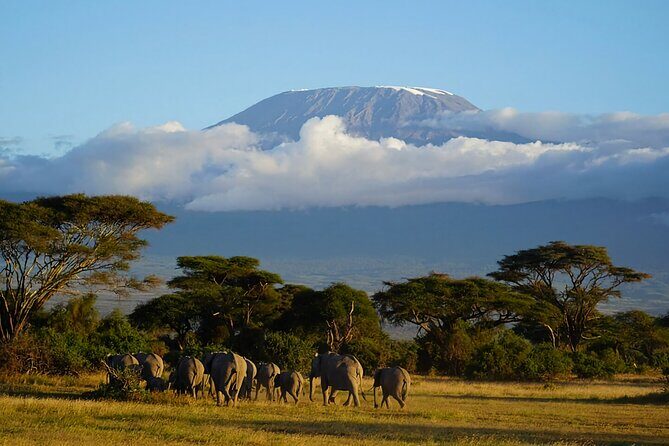 3day Amboseli Park Private safari - Who Will Love This Safari?