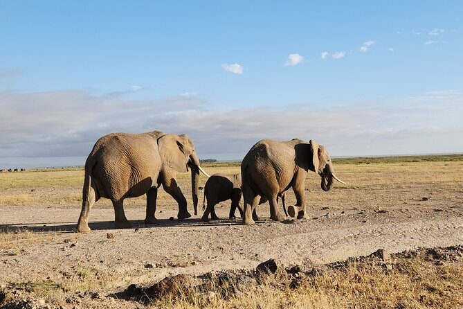 3day Amboseli Park Private safari - Frequently Asked Questions