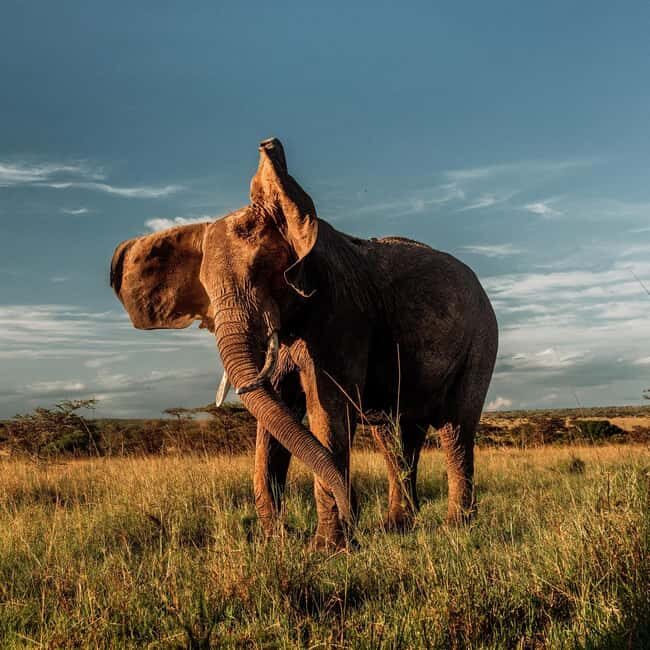 3Day Samburu National Reserve: Culture & Wildlife Immersion - Pricing & Overall Value