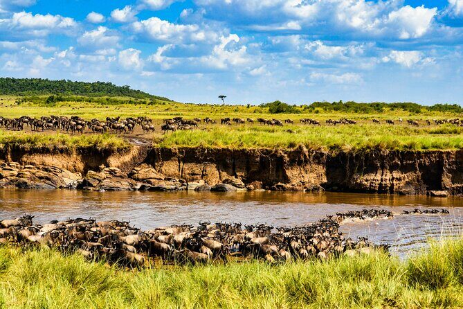 3days/2nights group joining Masai Mara with Masai Village Visit - Transportation and Comfort