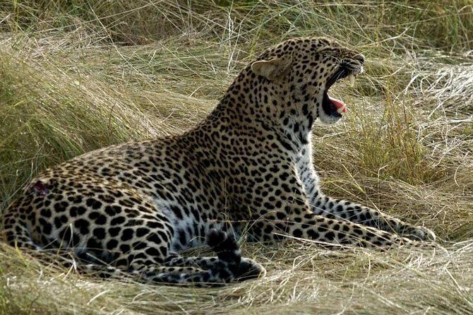 3days/2nights group joining Masai Mara with Masai Village Visit - Who is This Tour Perfect For?