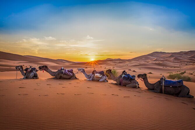 3Days 2Nights Moroccan Desert Expedition From Fes to Marrakech - Key Points