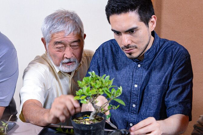 3days-bonsai-sencha-tea-experience-pastime-of-the-literati