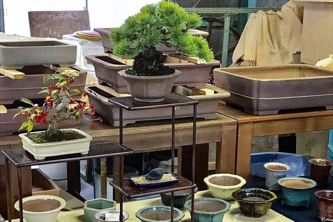 3days-bonsai-sencha-tea-experience-pastime-of-the-literati